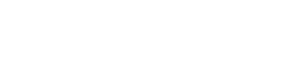 The Shakera Bowen Foundation